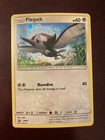 Pikipek