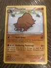 Piloswine