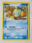 Mudkip