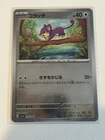 Rattata