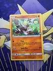 Passimian