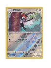 Pikipek