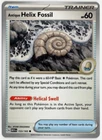 Antique Helix Fossil