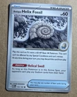 Antique Helix Fossil