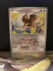 Pidgey
