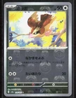Pidgey