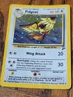 M Pidgeot EX