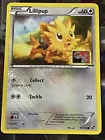 Lillipup