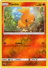 Torchic