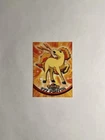 Ponyta