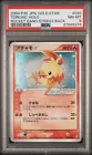 Torchic