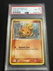 Torchic