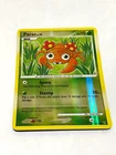 Paras