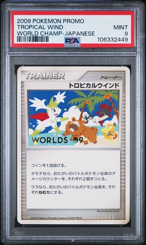 Tropical Wind