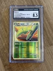Metapod