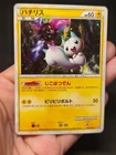 Pachirisu