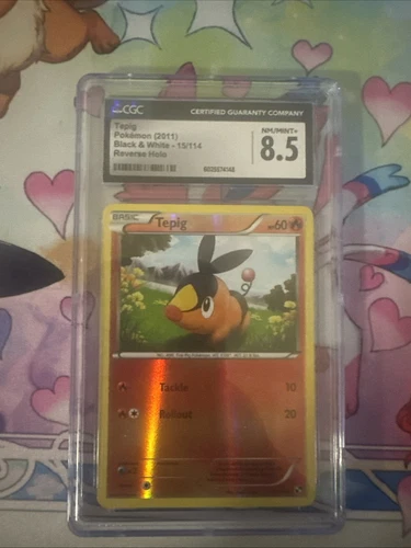 Tepig