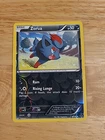 Zorua