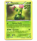 Maractus