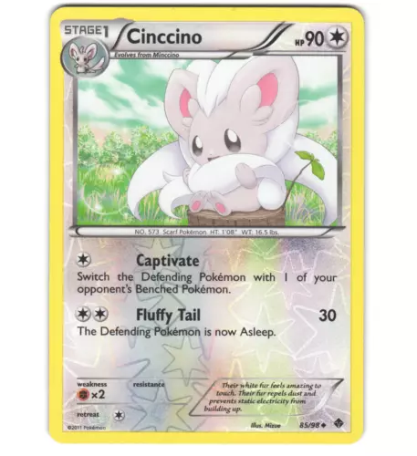 Cinccino