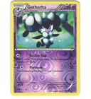 Gothorita