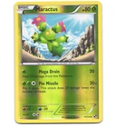 Maractus