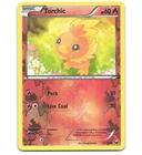 Torchic