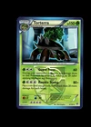 Torterra