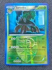 Torterra
