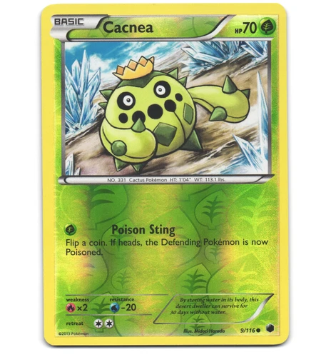 Cacnea