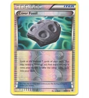 Cover Fossil