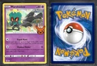 Marshadow