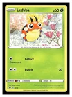 Ledyba