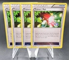 Trainer's Mail