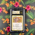 Ambipom