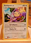 Ambipom