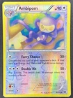 Ambipom