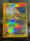 Furret
