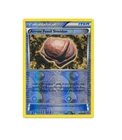 Armor Fossil Shieldon