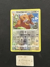 Ursaring