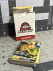 Raichu GX