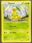 Bayleef