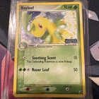 Bayleef