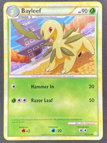 Bayleef