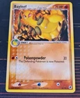 Bayleef
