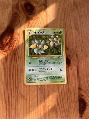 Aipom
