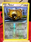 Bidoof