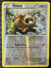 Bidoof