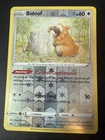 Bidoof
