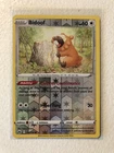 Bidoof